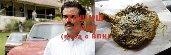 гашик Алексин