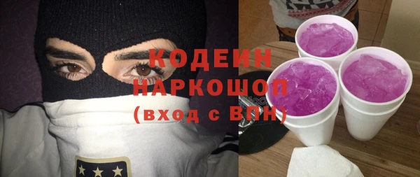 гашик Алексин