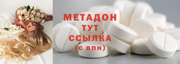 гашик Алексин