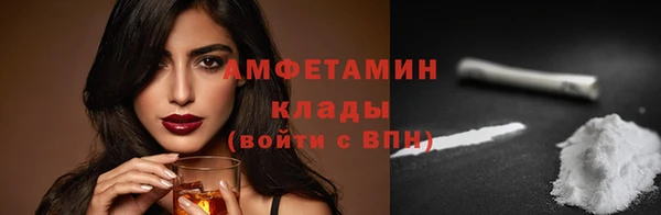 гашик Алексин
