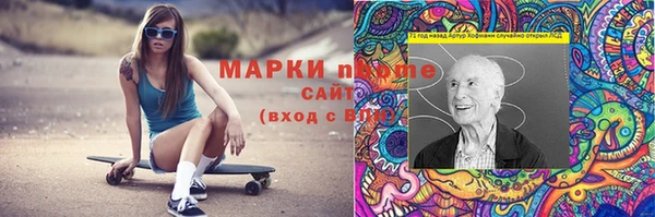 гашик Алексин