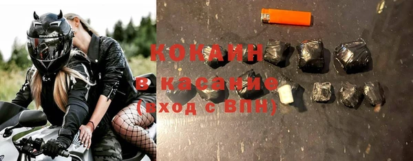 гашик Алексин