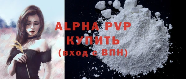 гашик Алексин