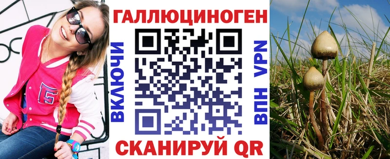 Галлюциногенные грибы Cubensis  площадка как зайти  Нестеров  закладка  kraken ССЫЛКА 