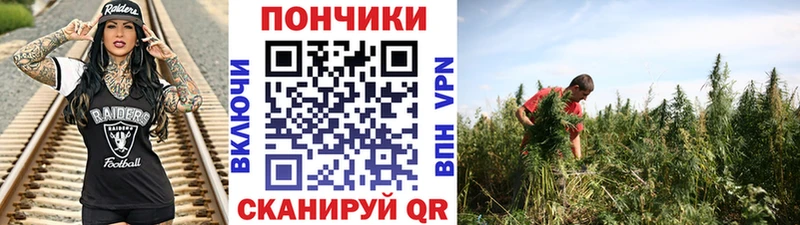 Шишки марихуана план  Нестеров 